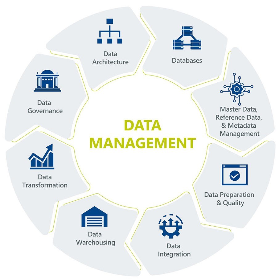 Industry Infographic Data Management